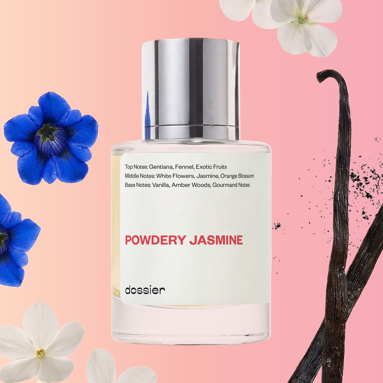 Powdery-Jasmine.jpg