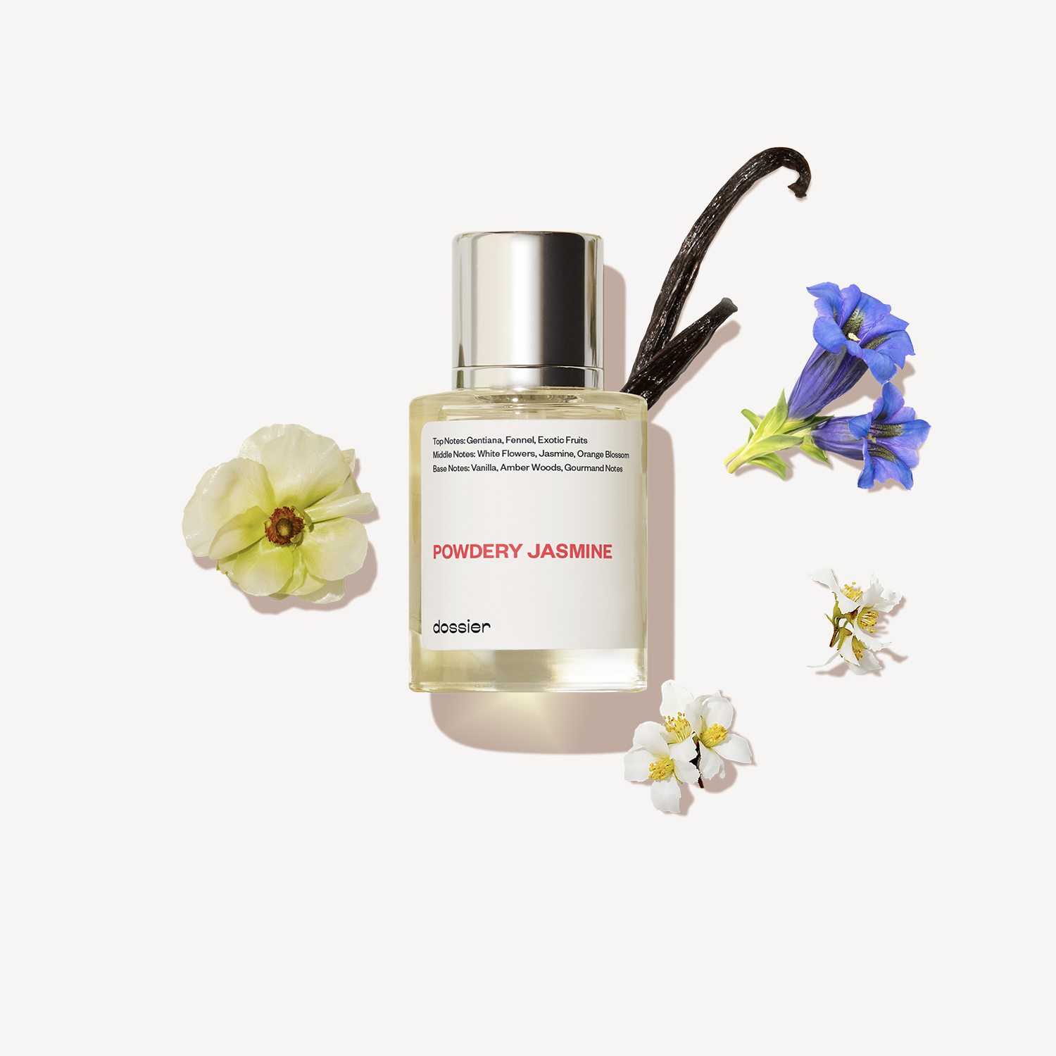 Powdery-Jasmine.png